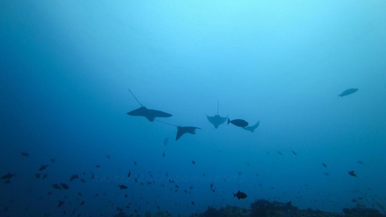 Hotel Rasreef Rasdhoo Maldives Esterno foto